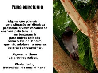 Fuga ou refúgio

    Alguns que possuíam
   uma situação privilegiada
 passaram a viver escondidos
em casa pela família
         ou tentaram ir
     para outros Estados
    como o Rio de Janeiro
  que não adotava a mesma
    política de tratamento.

      Alguns partiram
    para outros países.

         Obviamente,
 tratava-se de uma minoria.
 