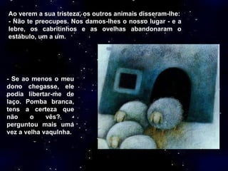 Ao verem a sua tristeza, os outros animais disseram-lhe: - Não te preocupes. Nos damos-lhes o nosso lugar - e a lebre, os cabritinhos e as ovelhas abandonaram o estábulo, um a um. -  Se ao menos o meu dono chegasse, ele podia libertar-me de laço. Pomba branca, tens a certeza que não o vês? - perguntou mais uma vez a velha vaquinha. 