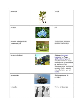 cerdeiras 
 
Árvore 
miosótis 
 
Flor 
miosótis bordejavam as 
fontes de água 
 
Acompanhar, envolver, 
enroscar, cercar algo 
córregos de água 
 
Córrego (português 
brasileiro) ou Rego 
(português europeu) é 
uma denominação dada a 
um corpo de água corrente 
de pequeno porte. 
Rotineiramente, é utilizado 
para se referir a algo de 
menor tamanho que um 
riacho. 
penugentas 
 
Cheio ou coberto de 
penagem 
acinzadas 
 
Tornar cor de cinza 
 