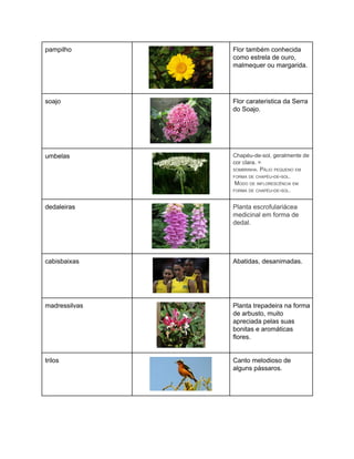 pampilho 
 
Flor também conhecida 
como estrela de ouro, 
malmequer ou margarida. 
soajo  
 
Flor carateristica da Serra 
do Soajo. 
umbelas 
 
Chapéu­de­sol, geralmente de 
cor clara. =  
SOMBRINHA. PÁLIO PEQUENO EM 
FORMA DE CHAPÉU­DE­SOL. 
 MODO DE INFLORESCÊNCIA EM 
FORMA DE CHAPÉU­DE­SOL. 
dedaleiras 
 
Planta escrofulariácea 
medicinal em forma de 
dedal. 
 
 
 
cabisbaixas 
 
Abatidas, desanimadas. 
madressilvas 
 
Planta trepadeira na forma 
de arbusto, muito 
apreciada pelas suas 
bonitas e aromáticas 
flores. 
trilos 
 
Canto melodioso de 
alguns pássaros. 
 
 
 