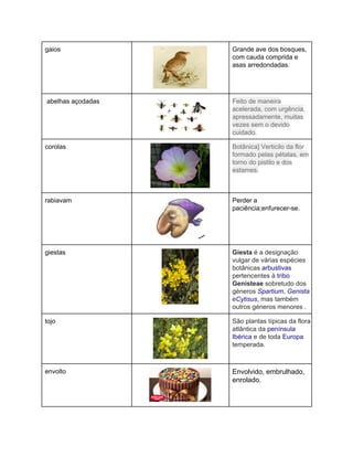 gaios 
 
Grande ave dos bosques, 
com cauda comprida e 
asas arredondadas. 
 abelhas açodadas 
 
Feito de maneira 
acelerada, com urgência, 
apressadamente, muitas 
vezes sem o devido 
cuidado. 
corolas 
 
Botânica] Verticilo da flor 
formado pelas pétalas, em 
torno do pistilo e dos 
estames. 
rabiavam 
 
Perder a 
paciência;enfurecer­se. 
giestas 
 
Giesta é a designação 
vulgar de várias espécies 
botânicas arbustivas 
pertencentes à tribo 
Genisteae sobretudo dos 
géneros Spartium, Genista 
eCytisus, mas também 
outros géneros menores . 
tojo 
 
São plantas típicas da flora 
atlântica da península 
Ibérica e de toda Europa 
temperada. 
envolto 
 
Envolvido, embrulhado, 
enrolado. 
 