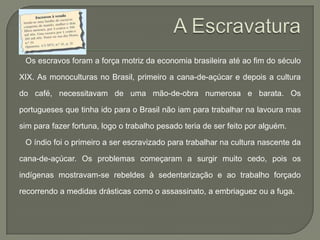 Os escravos foram a força motriz da economia brasileira até ao fim do século

XIX. As monoculturas no Brasil, primeiro a cana-de-açúcar e depois a cultura

do café, necessitavam de uma mão-de-obra numerosa e barata. Os

portugueses que tinha ido para o Brasil não iam para trabalhar na lavoura mas

sim para fazer fortuna, logo o trabalho pesado teria de ser feito por alguém.

 O índio foi o primeiro a ser escravizado para trabalhar na cultura nascente da

cana-de-açúcar. Os problemas começaram a surgir muito cedo, pois os

indígenas mostravam-se rebeldes à sedentarização e ao trabalho forçado

recorrendo a medidas drásticas como o assassinato, a embriaguez ou a fuga.
 