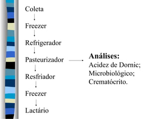 Coleta
Freezer
Refrigerador
Pasteurizador
Resfriador
Freezer
Lactário
Análises:
Acidez de Dornic;
Microbiológico;
Crematócrito.
 