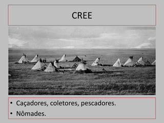 CREE




• Caçadores, coletores, pescadores.
• Nômades.
 