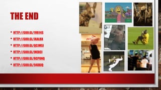 THE END
• HTTP://GOO.GL/1VB14S
• HTTP://GOO.GL/JXALBX
• HTTP://GOO.GL/QCJMSI
• HTTP://GOO.GL/INEXCI
• HTTP://GOO.GL/RCPONQ
• HTTP://GOO.GL/94XXIQ
 