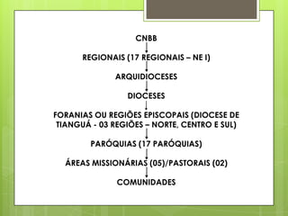 CNBB

      REGIONAIS (17 REGIONAIS – NE I)

              ARQUIDIOCESES

                 DIOCESES

FORANIAS OU REGIÕES EPISCOPAIS (DIOCESE DE
 TIANGUÁ - 03 REGIÕES – NORTE, CENTRO E SUL)

        PARÓQUIAS (17 PARÓQUIAS)

  ÁREAS MISSIONÁRIAS (05)/PASTORAIS (02)

               COMUNIDADES
 