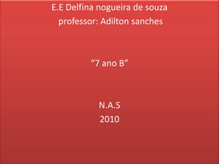 E.E Delfina nogueira de souza professor: Adiltonsanches“7 ano B”N.A.S2010