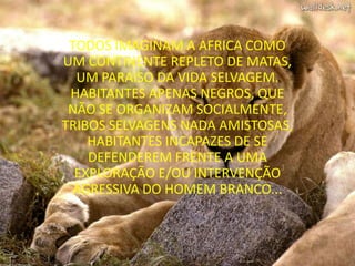 TODOS IMAGINAM A AFRICA COMO UM CONTINENTE REPLETO DE MATAS, UM PARAISO DA VIDA SELVAGEM. HABITANTES APENAS NEGROS, QUE NÃO SE ORGANIZAM SOCIALMENTE, TRIBOS SELVAGENS NADA AMISTOSAS, HABITANTES INCAPAZES DE SE DEFENDEREM FRENTE A UMA EXPLORAÇÃO E/OU INTERVENÇÃO AGRESSIVA DO HOMEM BRANCO...