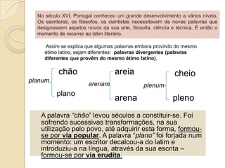  armazém; azeitona; azenha;