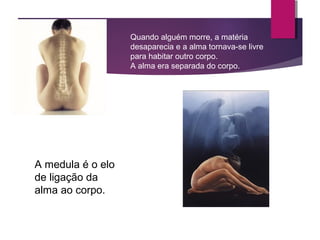 A medula é o elo
de ligação da
alma ao corpo.
Quando alguém morre, a matéria
desaparecia e a alma tornava-se livre
para habitar outro corpo.
A alma era separada do corpo.
 