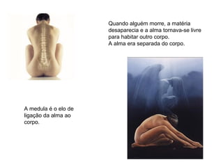 A medula é o elo de ligação da alma ao corpo. Quando alguém morre, a matéria desaparecia e a alma tornava-se livre para habitar outro corpo. A alma era separada do corpo. 