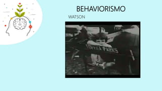 BEHAVIORISMO
WATSON
 
