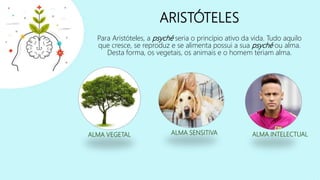 ARISTÓTELES
Para Aristóteles, a psyché seria o princípio ativo da vida. Tudo aquilo
que cresce, se reproduz e se alimenta possui a sua psyché ou alma.
Desta forma, os vegetais, os animais e o homem teriam alma.
ALMA VEGETAL ALMA SENSITIVA ALMA INTELECTUAL
 