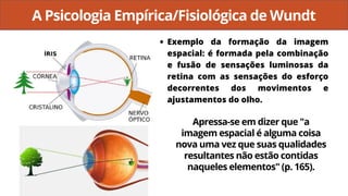 A Psicologia Empírica/Fisiológica de Wundt
Exemplo da formação da imagem
espacial: é formada pela combinação
e fusão de sensações luminosas da
retina com as sensações do esforço
decorrentes dos movimentos e
ajustamentos do olho.
Apressa-se em dizer que "a
imagem espacial é alguma coisa
nova uma vez que suas qualidades
resultantes não estão contidas
naqueles elementos" (p. 165).
 