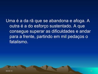 Uma é a da rã que se abandona e afoga. A outra é a do esforço sustentado. A que consegue superar as dificuldades e andar para a frente, partindo em mil pedaços o fatalismo. 