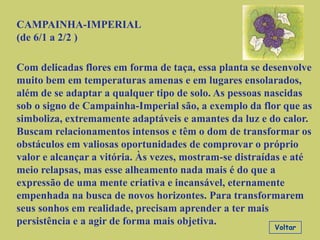 CAMPAINHA-IMPERIAL
(de 6/1 a 2/2 )

Com delicadas flores em forma de taça, essa planta se desenvolve
muito bem em temperaturas amenas e em lugares ensolarados,
além de se adaptar a qualquer tipo de solo. As pessoas nascidas
sob o signo de Campainha-Imperial são, a exemplo da flor que as
simboliza, extremamente adaptáveis e amantes da luz e do calor.
Buscam relacionamentos intensos e têm o dom de transformar os
obstáculos em valiosas oportunidades de comprovar o próprio
valor e alcançar a vitória. Às vezes, mostram-se distraídas e até
meio relapsas, mas esse alheamento nada mais é do que a
expressão de uma mente criativa e incansável, eternamente
empenhada na busca de novos horizontes. Para transformarem
seus sonhos em realidade, precisam aprender a ter mais
persistência e a agir de forma mais objetiva.
                                                        Voltar
 