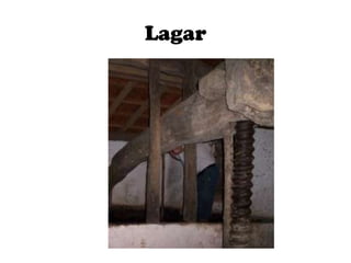 Lagar