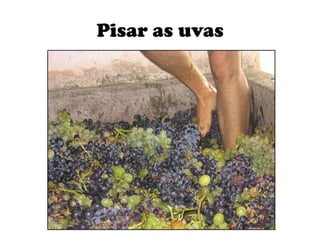 Pisar as uvas