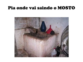 Pia onde vai saindo o MOSTO