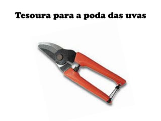 Tesoura para a poda das uvas