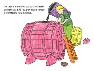 De seguida, o sumo vai para os barris ou barricas. E lá fica por muito tempo e transforma-se em vinho.