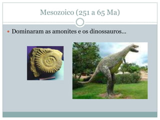 Mesozoico (251 a 65 Ma)

 Dominaram as amonites e os dinossauros…
 
