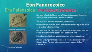 Era Paleozoica
Durante o Período Câmbrico, a Vida existia apenas dentro de
água (ocorre o LifeBoom – explosão de vida)
Surgem os organismos com estruturas duras
Os seres mais comuns, e que dominavam o meio aquático, eram
os invertebrados marinhos
Durante este Período surgiram as trilobites, que se tornam os
seres mais emblemáticos de toda a Era Primária
É também nesta altura que surgiram os primeiros peixes
Devido ao surgimento de seres com concha e exoesqueleto, os
fósseis deste Período são mais comuns o que os do Éon Pré-
Câmbrico
Fóssil de Microdictyon
Fóssil de Trilobite
 