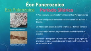 Era Paleozoica
A Vida surgiu na superfície terrestre durante o Período Silúrico
As primeiras plantas terrestres desenvolveram-se durante o
Silúrico
Os insetos sem asas iniciarama colonizaçãodo meio terrestre
Ao longo deste Período, os peixes dominaramos mares e os
oceanos
Como seria de esperar, é durante este Período que surgem os
primeiros registos fósseis de seres vivos terrestres (apesar de
serem muito raros)
Fóssil de Cooksonia
Fóssil de Jamoytius
 