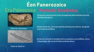 Era Paleozoica
Os peixes continuarama ser as espécies dominantes durante
Período Devónico
Desenvolveram-se os primeiros animais terrestres, surgindo
os primeiros anfíbios
Os seres vivos de transição entre os peixes e os anfíbios, como
Icthyostega, são característicos desta altura
Fóssil de Icthyostega
Fóssil de Dipterus
 