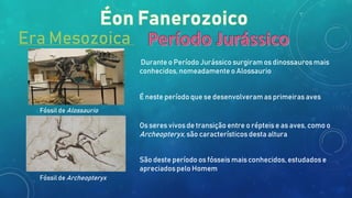 Era Mesozoica
Durante o Período Jurássico surgiram os dinossauros mais
conhecidos, nomeadamente o Alossaurio
É neste período que se desenvolveram as primeiras aves
Os seres vivos de transição entre o répteis e as aves, como o
Archeopteryx, são característicos desta altura
São deste período os fósseis mais conhecidos, estudados e
apreciados pelo Homem
Fóssil de Alossaurio
Fóssil de Archeopteryx
 