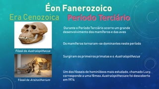 Durante o Período Terciário ocorre um grande
desenvolvimento dos mamíferos e das aves
Os mamíferos tornaram-se dominantes neste período
Surgiram os primeiros primatas e o Australopithecus
Um dos fósseis de hominídeos mais estudado, chamado Lucy,
corresponde a uma fêmea Australopithecus e foi descoberto
em 1974
Fóssil de Australopithecus
Fóssil de Arsinoitherium
Era Cenozoica
 