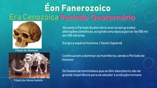 Durante o Período Quaternário ocorreram grandes
alterações climáticas, surgindo uma época glaciar de 100 mil
em 100 mil anos
Surgiu a espécie humana ( Homo Sapiens)
Continuaram a dominar os mamíferos, sendo o Período do
Homem
Os fosseis de hominídeos que se têm descoberto são de
grande importância para se estudar a evolução humana
Fóssil de Mamute
Fóssil de Homo habilis
Era Cenozoica
 