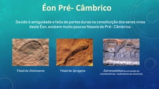 Devido à antiguidade e falta de partes duras na constituição dos seres vivos
deste Éon, existem muito poucos fósseis do Pré- Câmbrico.
Fóssil de Dickinsonia Fóssil de Spriggina Estromatólitos (acumulação de
cianobactérias + sedimentos de calcários)
 