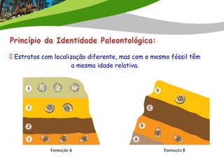 Estratos com localização diferente, mas com o mesmo fóssil têm
a mesma idade relativa.
 