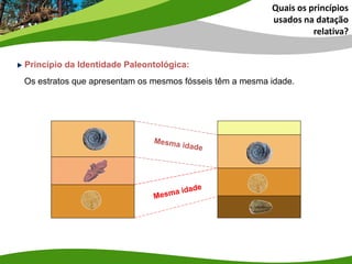 Quais os princípios
usados na datação
relativa?
Princípio da Identidade Paleontológica:
Os estratos que apresentam os mesmos fósseis têm a mesma idade.
 