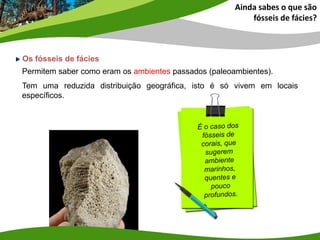 Permitem saber como eram os ambientes passados (paleoambientes).
Tem uma reduzida distribuição geográfica, isto é só vivem em locais
específicos.
Ainda sabes o que são
fósseis de fácies?
Os fósseis de fácies
 