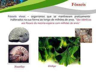 Fósseis
Fósseis vivos – organismos que se mantiveram praticamente
inalterados na sua forma ao longo de milhões de anos. “São idênticos
aos fósseis da mesma espécie com milhões de anos.”
GinkgoNautilus
 