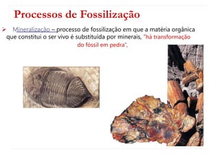 Processos de Fossilização
 Mineralização – processo de fossilização em que a matéria orgânica
que constitui o ser vivo é substituída por minerais, “há transformação
do fóssil em pedra”,
 