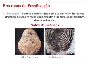 Processos de Fossilização
 Moldagem – é um tipo de fossilização em que o ser vivo desaparece
deixando, gravada na rocha um molde das suas partes duras (conchas,
dentes, unhas, etc).
Moldes de um bivalve
Molde externo Molde interno
 