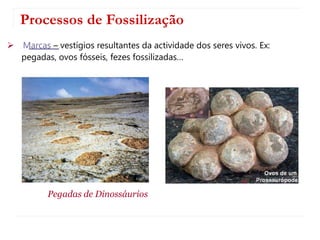 Processos de Fossilização
 Marcas – vestígios resultantes da actividade dos seres vivos. Ex:
pegadas, ovos fósseis, fezes fossilizadas…
Pegadas de Dinossáurios
 