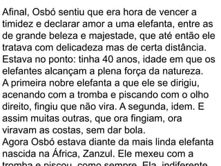 Afinal, Osbó sentiu que era hora de vencer a
timidez e declarar amor a uma elefanta, entre as
de grande beleza e majestade, que até então ele
tratava com delicadeza mas de certa distância.
Estava no ponto: tinha 40 anos, idade em que os
elefantes alcançam a plena força da natureza.
A primeira nobre elefanta a que ele se dirigiu,
acenando com a tromba e piscando com o olho
direito, fingiu que não vira. A segunda, idem. E
assim muitas outras, que ora fingiam, ora
viravam as costas, sem dar bola.
Agora Osbó estava diante da mais linda elefanta
nascida na África, Zanzul. Ele mexeu com a
 