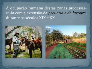 A ocupação humana destas zonas processar-
se-ia com a extensão da pecuária e da lavoura,
durante os séculos XIX e XX.
 