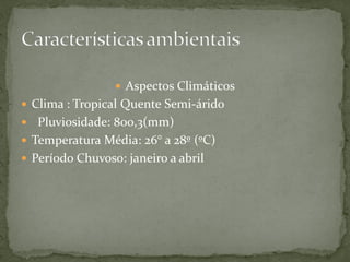  Aspectos Climáticos
 Clima : Tropical Quente Semi-árido
 Pluviosidade: 800,3(mm)
 Temperatura Média: 26° a 28º (ºC)
 Período Chuvoso: janeiro a abril
 