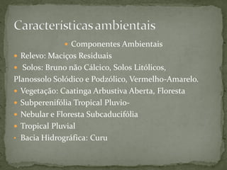  Componentes Ambientais
 Relevo: Maciços Residuais
 Solos: Bruno não Cálcico, Solos Litólicos,
Planossolo Solódico e Podzólico, Vermelho-Amarelo.
 Vegetação: Caatinga Arbustiva Aberta, Floresta
 Subperenifólia Tropical Pluvio-
 Nebular e Floresta Subcaducifólia
 Tropical Pluvial
• Bacia Hidrográfica: Curu
 