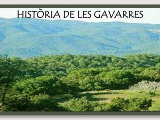 HISTÒRIA DE LES GAVARRES
 
