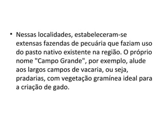 • Nessas localidades, estabeleceram-se
  extensas fazendas de pecuária que faziam uso
  do pasto nativo existente na região. O próprio
  nome "Campo Grande", por exemplo, alude
  aos largos campos de vacaria, ou seja,
  pradarias, com vegetação gramínea ideal para
  a criação de gado.
 