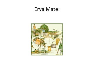 Erva Mate:
 