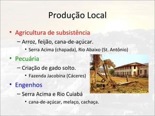 Produção Local
• Agricultura de subsistência
  – Arroz, feijão, cana-de-açúcar.
     • Serra Acima (chapada), Rio Abaixo (St. Antônio)
• Pecuária
  – Criação de gado solto.
     • Fazenda Jacobina (Cáceres)
• Engenhos
  – Serra Acima e Rio Cuiabá
     • cana-de-açúcar, melaço, cachaça.
 