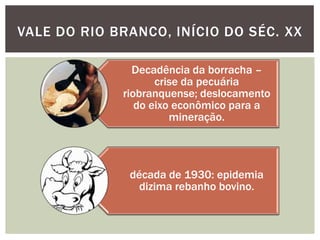 VALE DO RIO BRANCO, INÍCIO DO SÉC. XX

               Decadência da borracha –
                    crise da pecuária
             riobranquense; deslocamento
                do eixo econômico para a
                       mineração.



              década de 1930: epidemia
                dizima rebanho bovino.
 