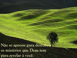 Não se apresse para descobrir os mistérios que Deus tem para revelar à você. 